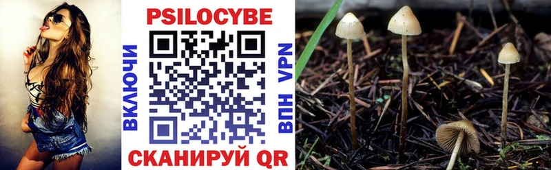 как найти закладки  Кумертау  blacksprut ONION  Псилоцибиновые грибы прущие грибы 
