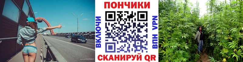 продажа наркотиков  Кумертау  Конопля план 